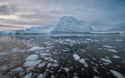 The Iceberg Effect: Why Surface-Level Problems Hide Deeper Family Struggles